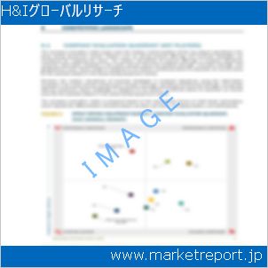 市場と産業調査レポートのイメージ